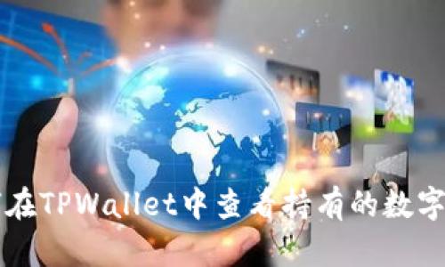 如何在TPWallet中查看持有的数字货币