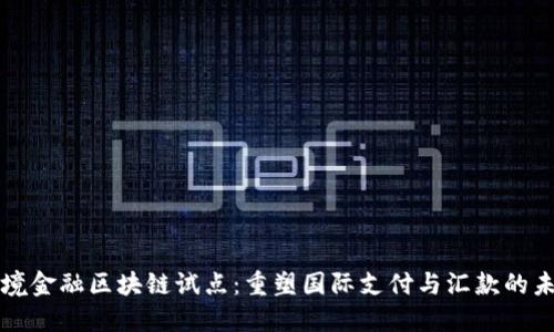 跨境金融区块链试点：重塑国际支付与汇款的未来