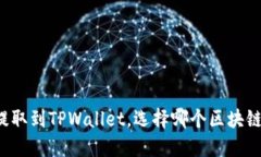 狗狗币提取到TPWallet，选择哪个区块链最合适？