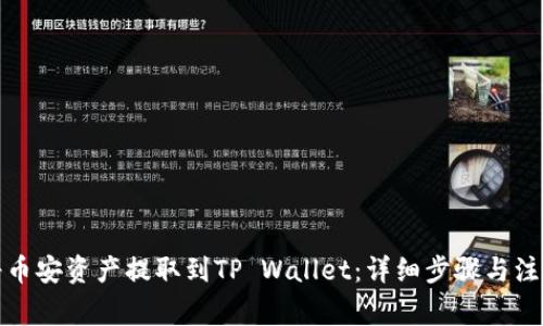如何将币安资产提取到TP Wallet:详细步骤与注意事项