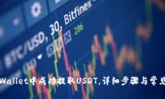 如何在TPWallet中成功提取USDT，详细步骤与常见问
