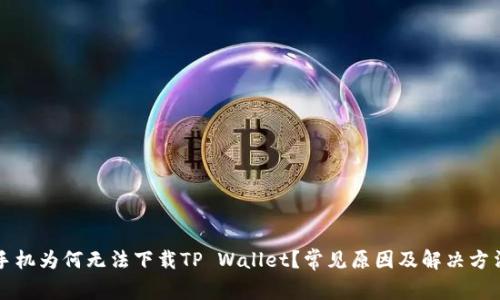 我的手机为何无法下载TP Wallet？常见原因及解决方法详解
