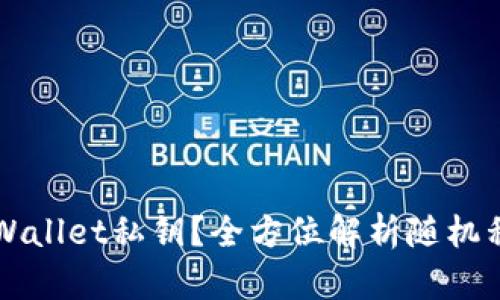 如何安全生成TPWallet私钥？全方位解析随机私钥的意义与使用